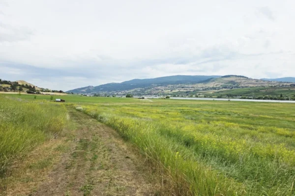 Swan Lake Nature Reserve & Trails