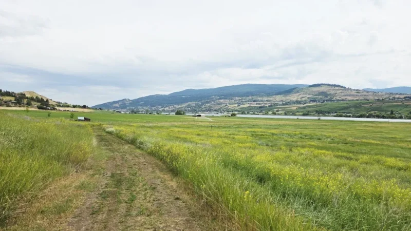 Swan Lake Nature Reserve & Trails