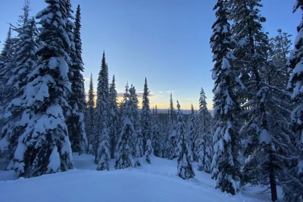 Silver Star Provincial Park