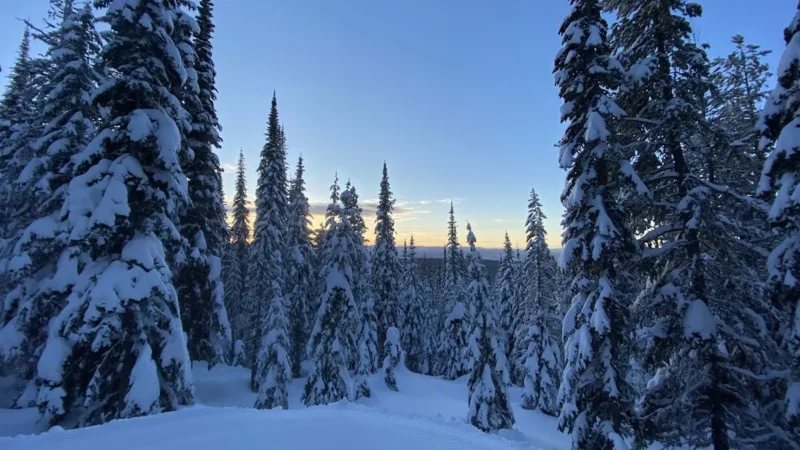 Silver Star Provincial Park