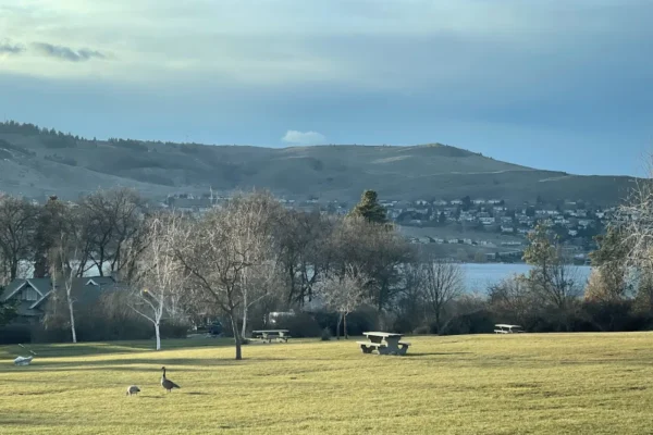 Sovereign Park & Beach