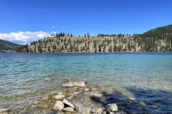 Kaloya Regional Park