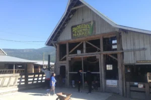 DeMille’s Farm Market