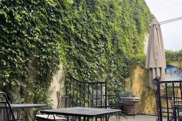 Bean Scene Coffee House