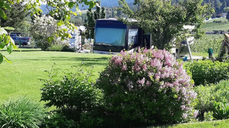 The Orchard RV Retreat