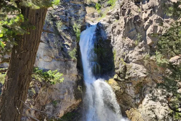 Fintry Provincial Park