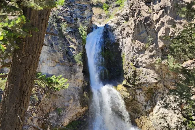 Fintry Provincial Park