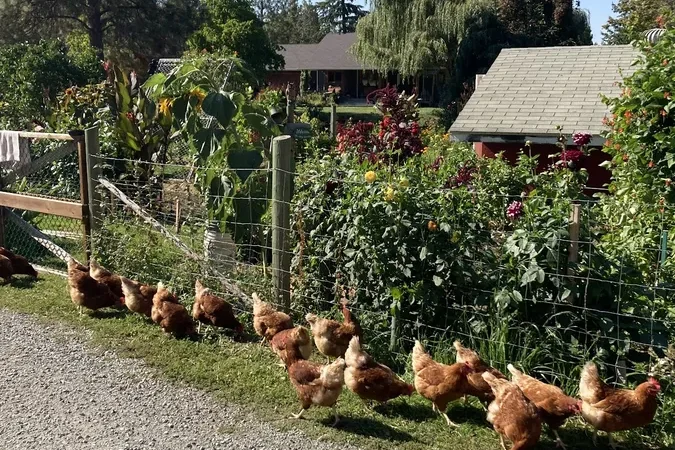 Canyon Farms Rv Park