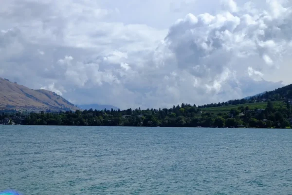 Vernon Family Dental Dr Macdonald and Associates