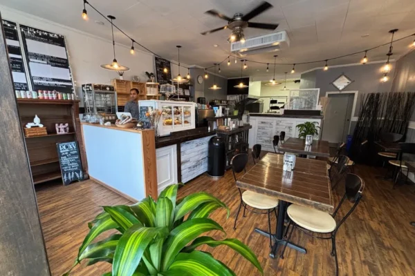 The Roxy Cafe – Vegan and Vegetarian Restaurant Cafe