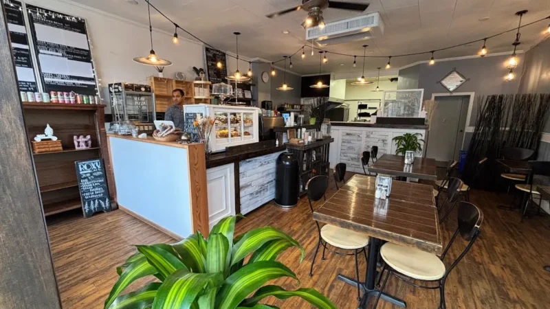 The Roxy Cafe – Vegan and Vegetarian Restaurant Cafe