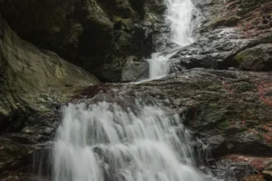 BX Creek & Falls Trail