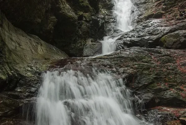 BX Creek & Falls Trail