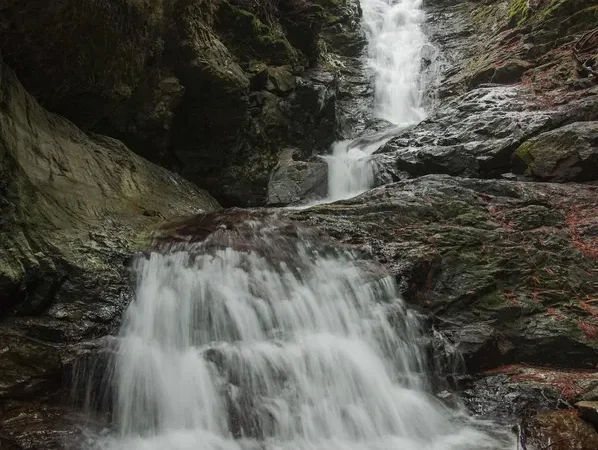 BX Creek & Falls Trail